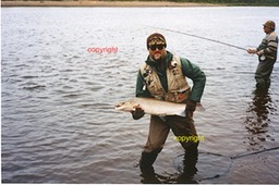 25 lbs salmon, Ponoi  1992