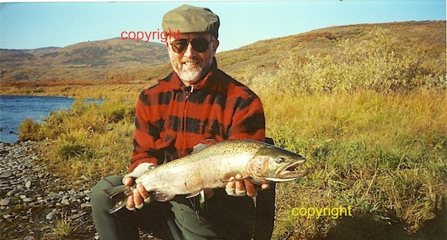 28 inch steelhead Karluk R,Kodiak island 1998