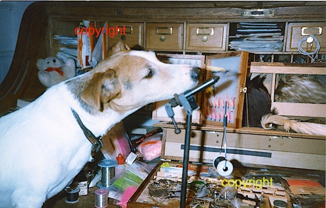 Dallas inspecting a streamer, about 1986