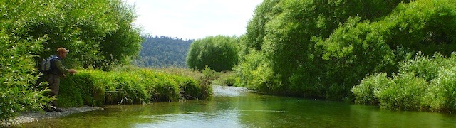 Fishing unseen by fish