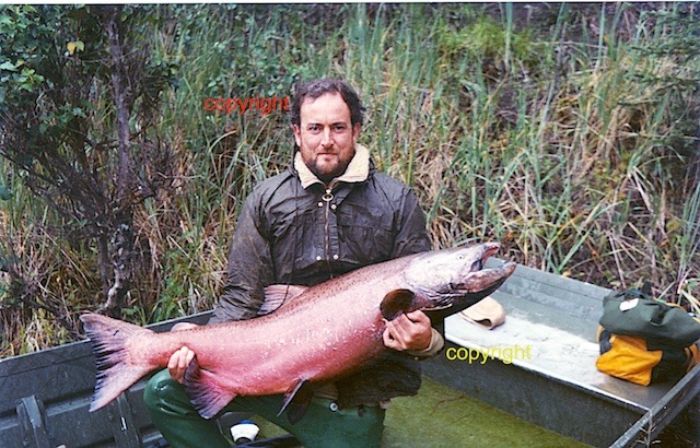 Kenai R. 50lb+ Chinook Aug 1981