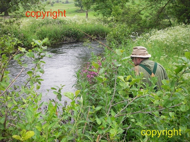 Lower Lathkill with Richard Ward (12)