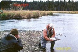 Me taking pic of Ted Gerken with 12lb Rainbow, Iliaska Copper R. Oct 1980