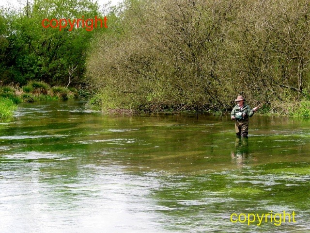 ovington April '03 rings of rise